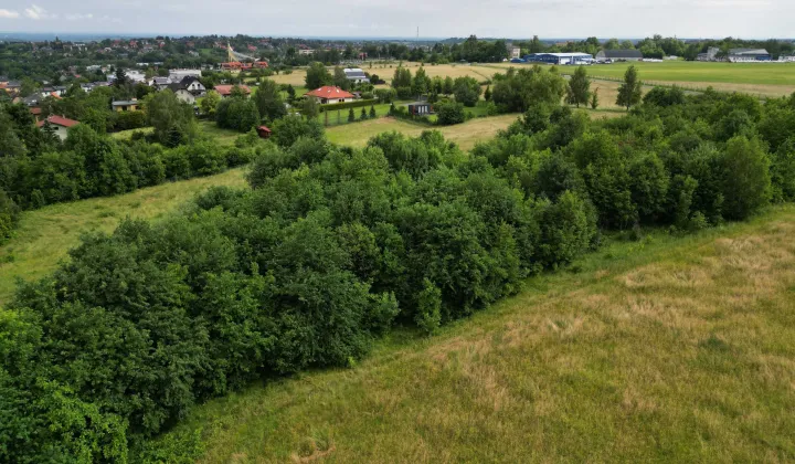 Działka rolna Bielsko-Biała Aleksandrowice, ul. Pieczarkowa