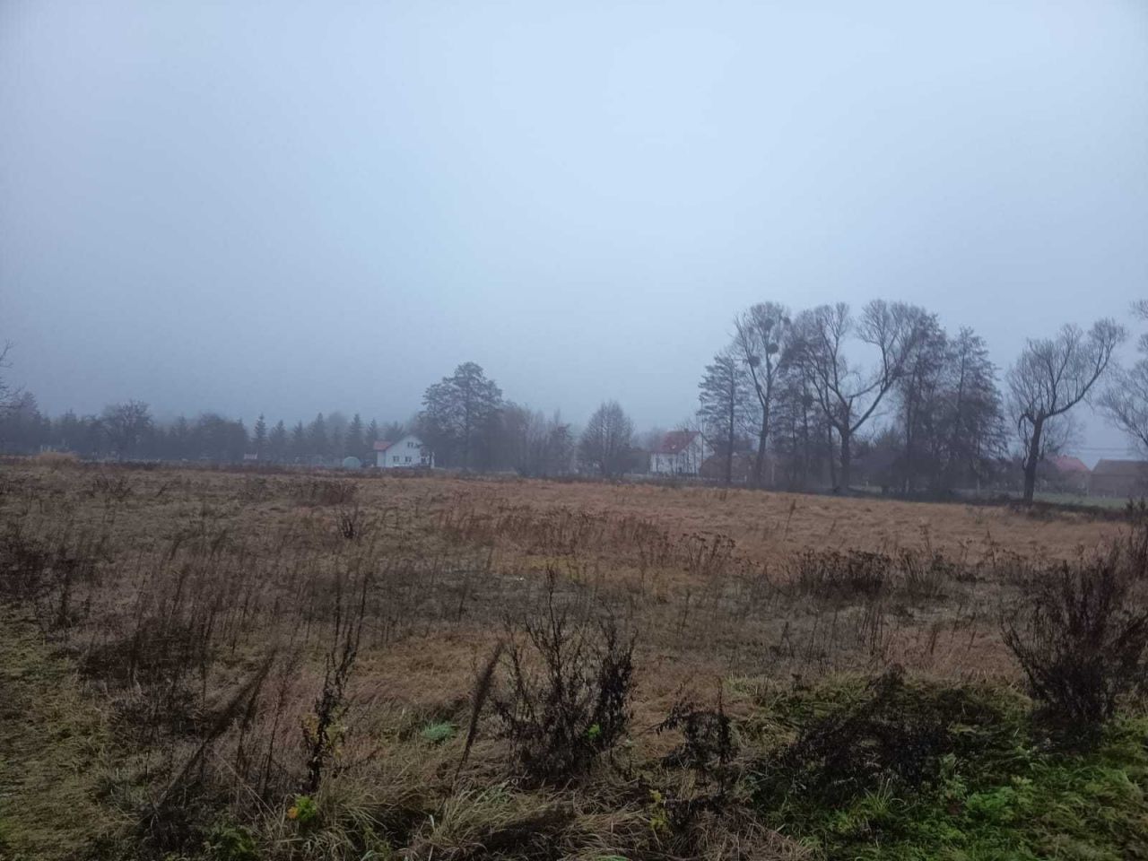 Działka budowlana Krościna Wielka. Zdjęcie 4