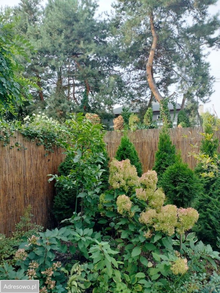 Mieszkanie 3-pokojowe Józefosław, ul. Osiedlowa. Zdjęcie 7