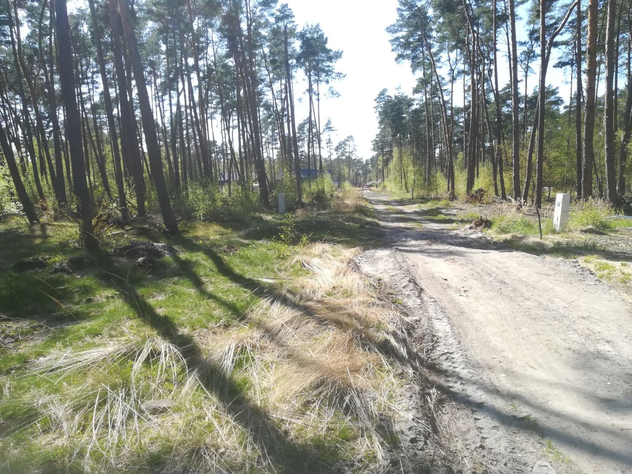 Działka budowlana Dziwnów, ul. Daglezji. Zdjęcie 11