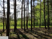 Działka budowlana Chrzypsko Małe. Zdjęcie 2