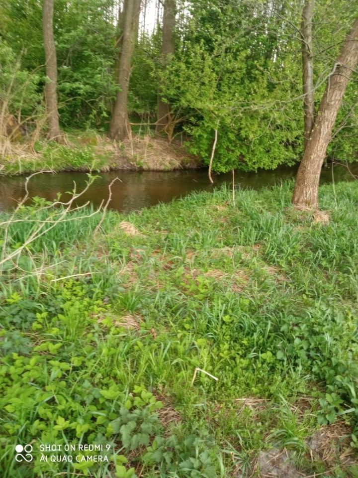 Działka leśna Niedrzwica Duża. Zdjęcie 2