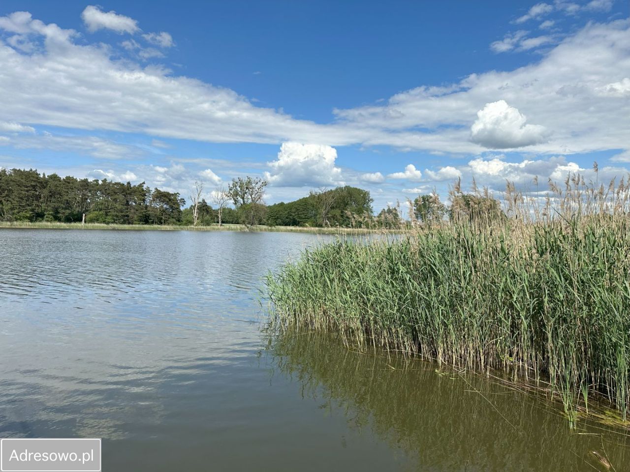 Działka rolno-budowlana Cerekwica, ul. Biwakowa. Zdjęcie 6