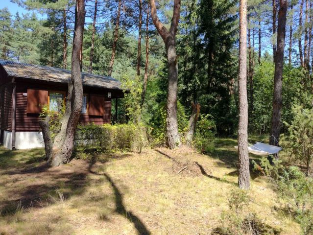 Działka rekreacyjna Wola Polska. Zdjęcie 1