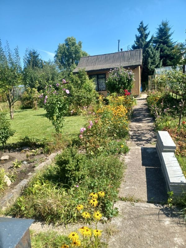 Działka rod Szczecin Centrum