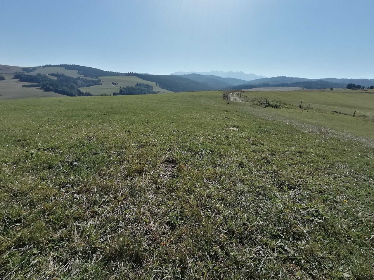 Działka Łapsze Niżne. Zdjęcie 5