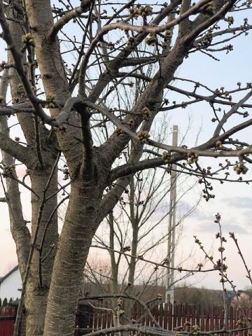 dom wolnostojący, 4 pokoje Nowe Miasto-Folwark. Zdjęcie 10