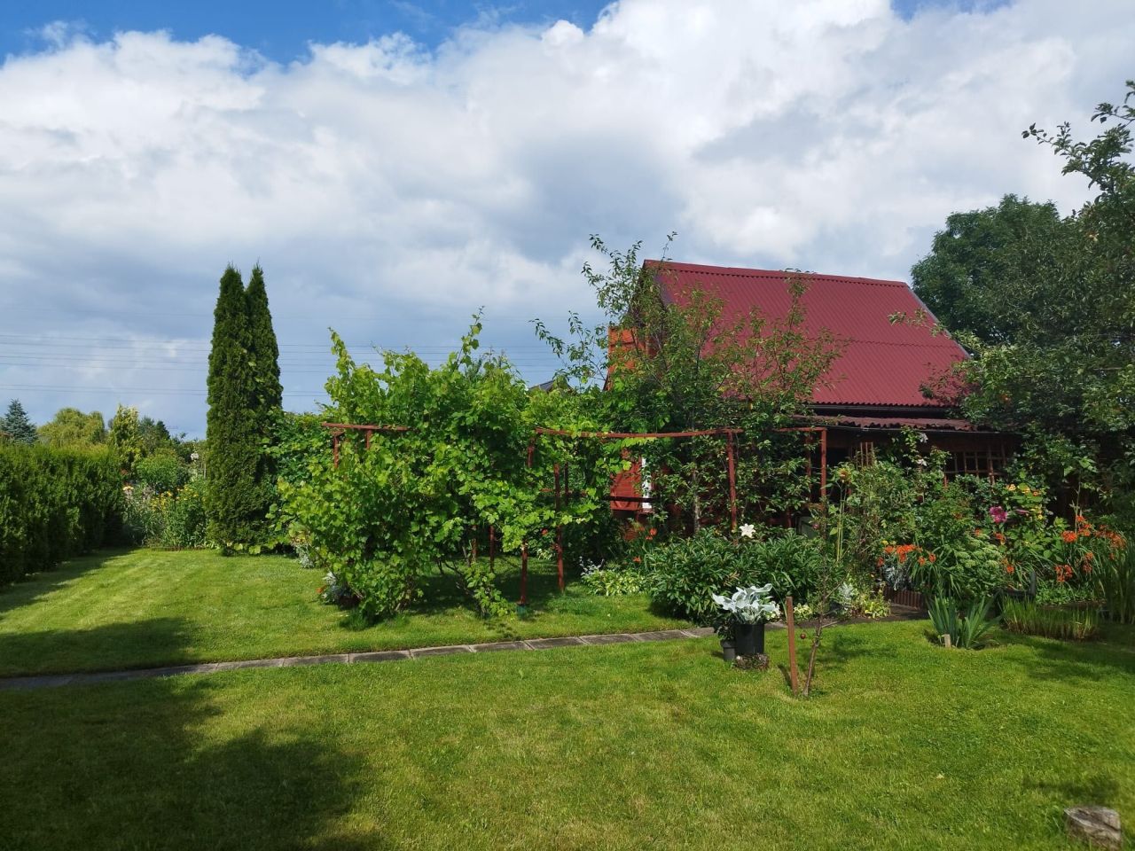 Działka rod Rumia Janowo, ul. Działkowców. Zdjęcie 7