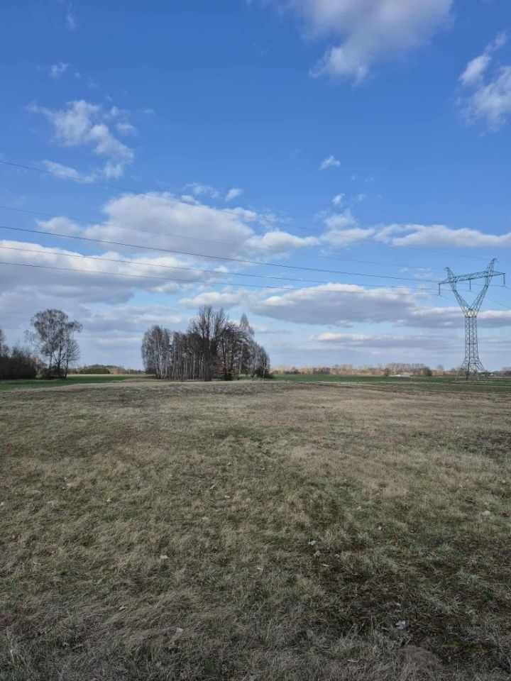 Działka rolno-budowlana Ostrowsko. Zdjęcie 3