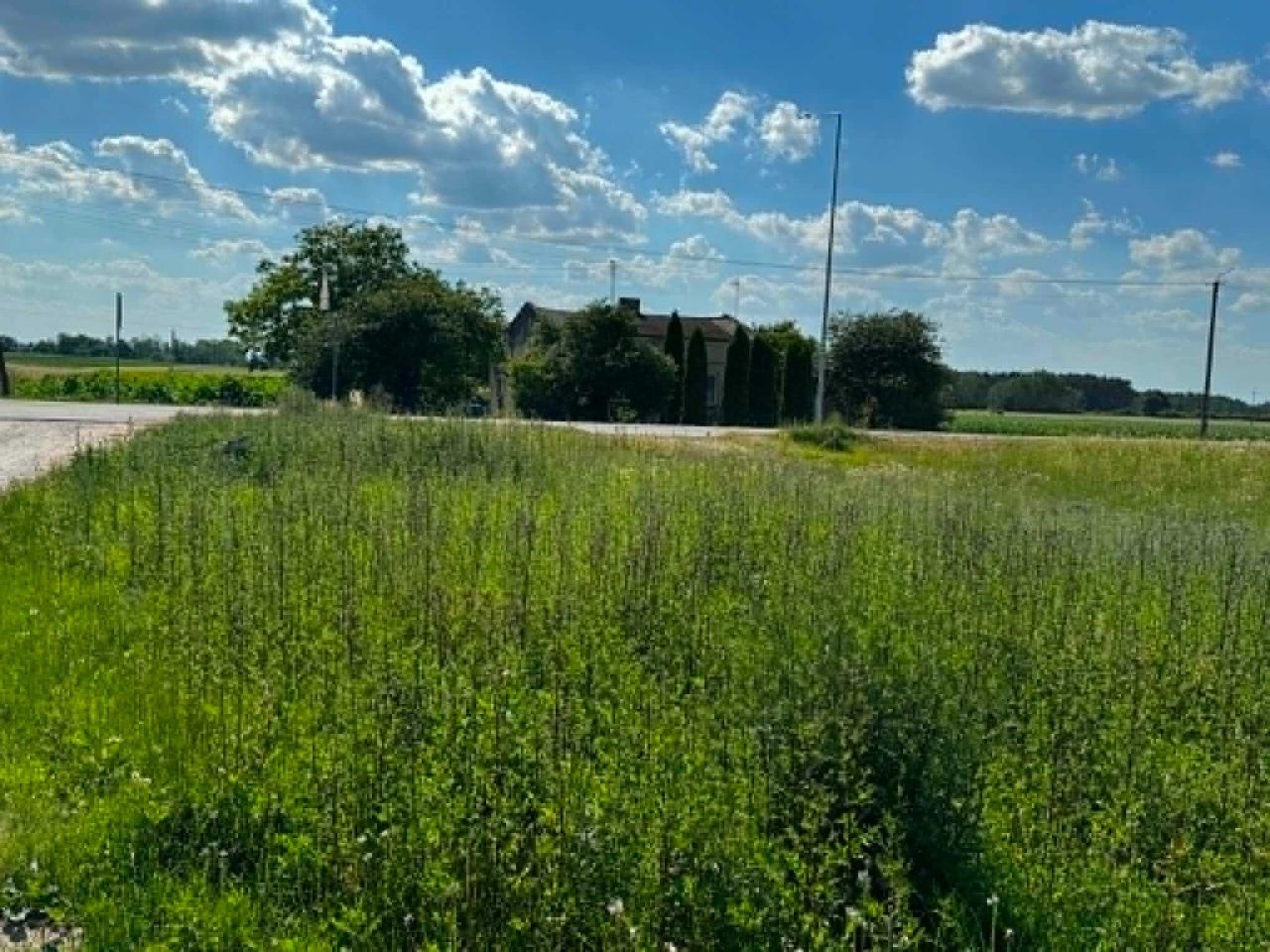 Działka budowlana Starobrzeska Kolonia. Zdjęcie 4