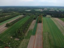 Działka siedliskowa Reczków Nowy. Zdjęcie 1