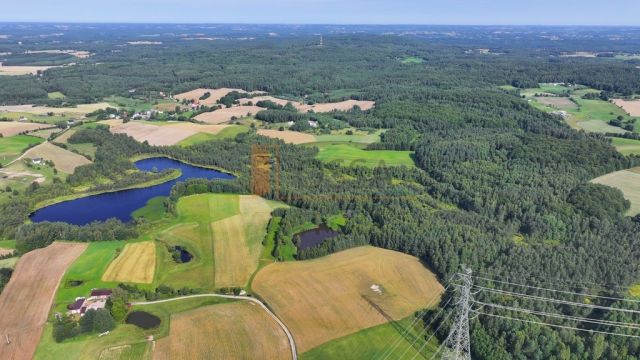 Działka siedliskowa Grabowska Huta. Zdjęcie 8