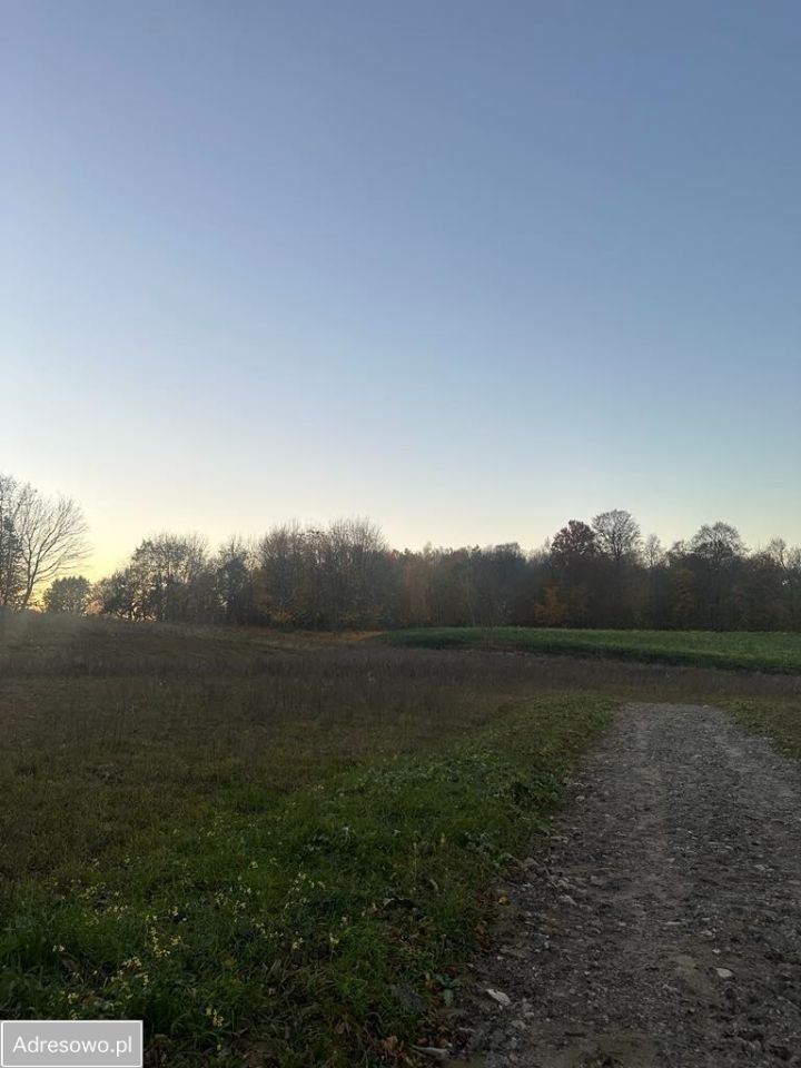 Działka rolno-budowlana Lipsko-Polesie. Zdjęcie 2