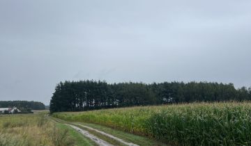 Działka rolna Ludowice