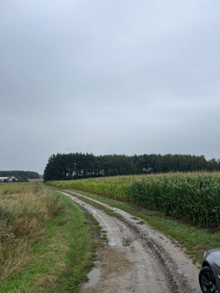 Działka rolna Ludowice. Zdjęcie 2