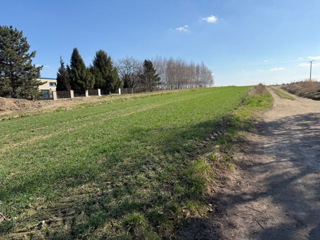 Działka inwestycyjna Ptakowice. Zdjęcie 1