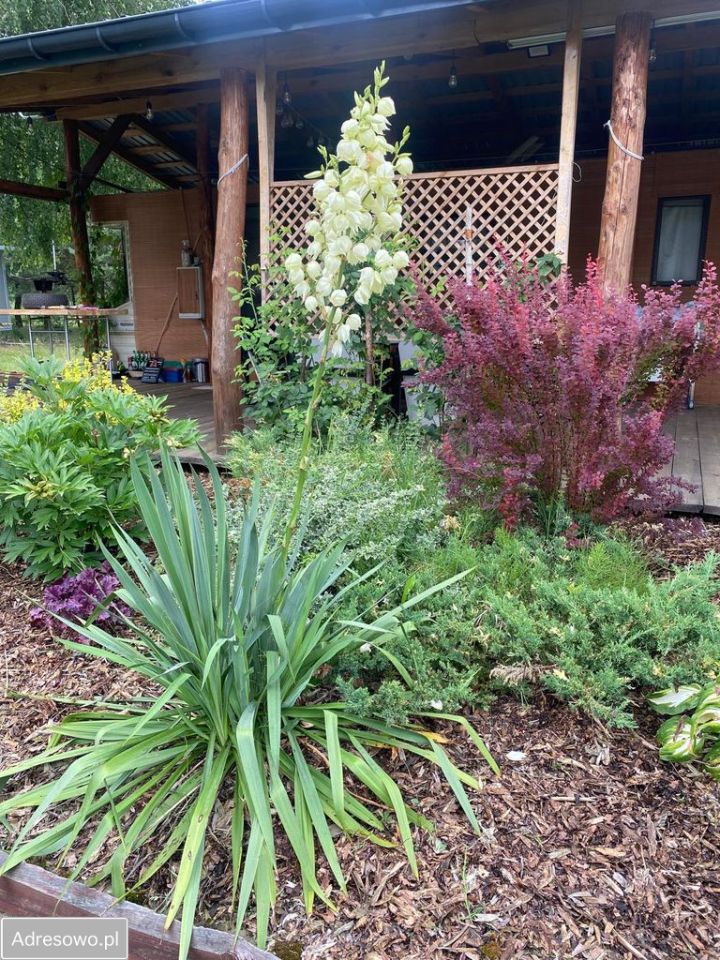 Działka budowlana Tyborów. Zdjęcie 15