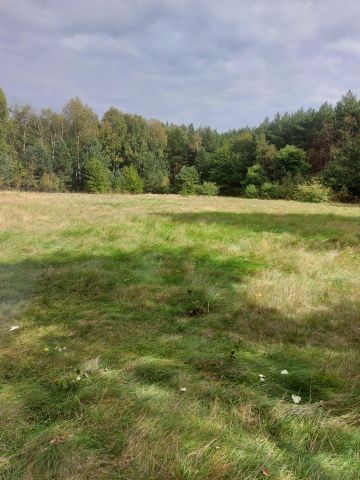Działka rolna Miasteczko Śląskie, ul. Konstantego Ildefonsa Gałczyńskiego. Zdjęcie 1