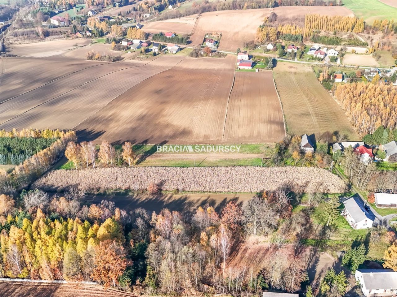 Działka budowlana Przesławice. Zdjęcie 2