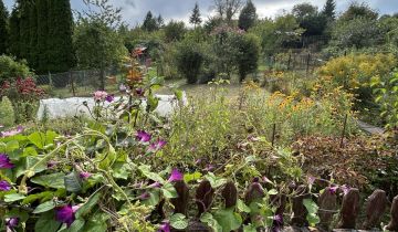Działka rod Przemyśl Zasanie, ul. Biskupa Jakuba Glazera