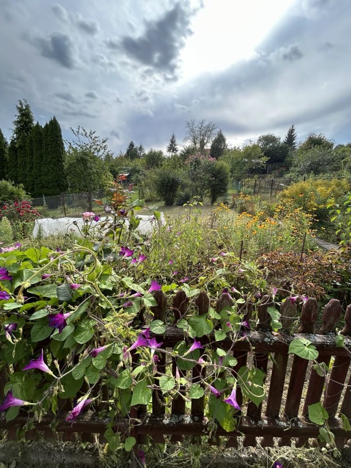 Działka rod Przemyśl Zasanie, ul. Biskupa Jakuba Glazera. Zdjęcie 2