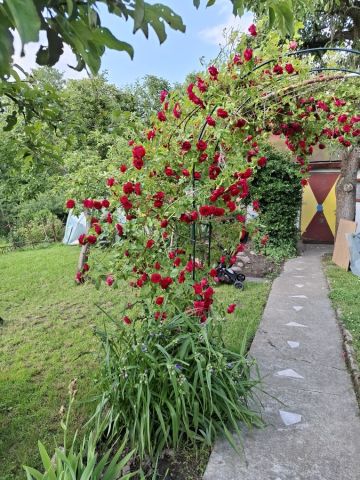 Działka rod Płock, ul. Narodowych Sił Zbrojnych. Zdjęcie 1