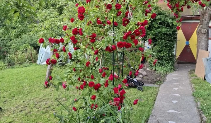 Działka rod Płock, ul. Narodowych Sił Zbrojnych