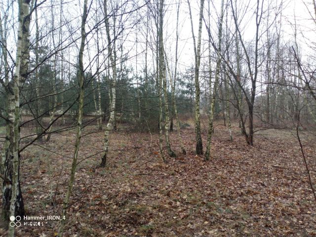 Działka budowlana Henryszew. Zdjęcie 1