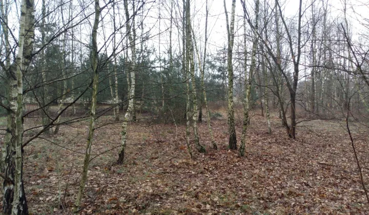 Działka budowlana Henryszew