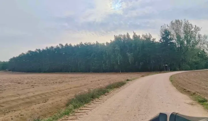 Działka Konarzew