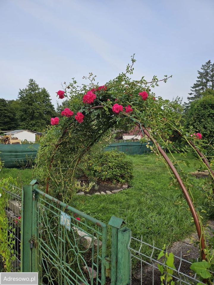 Działka rod Dębostrów. Zdjęcie 3