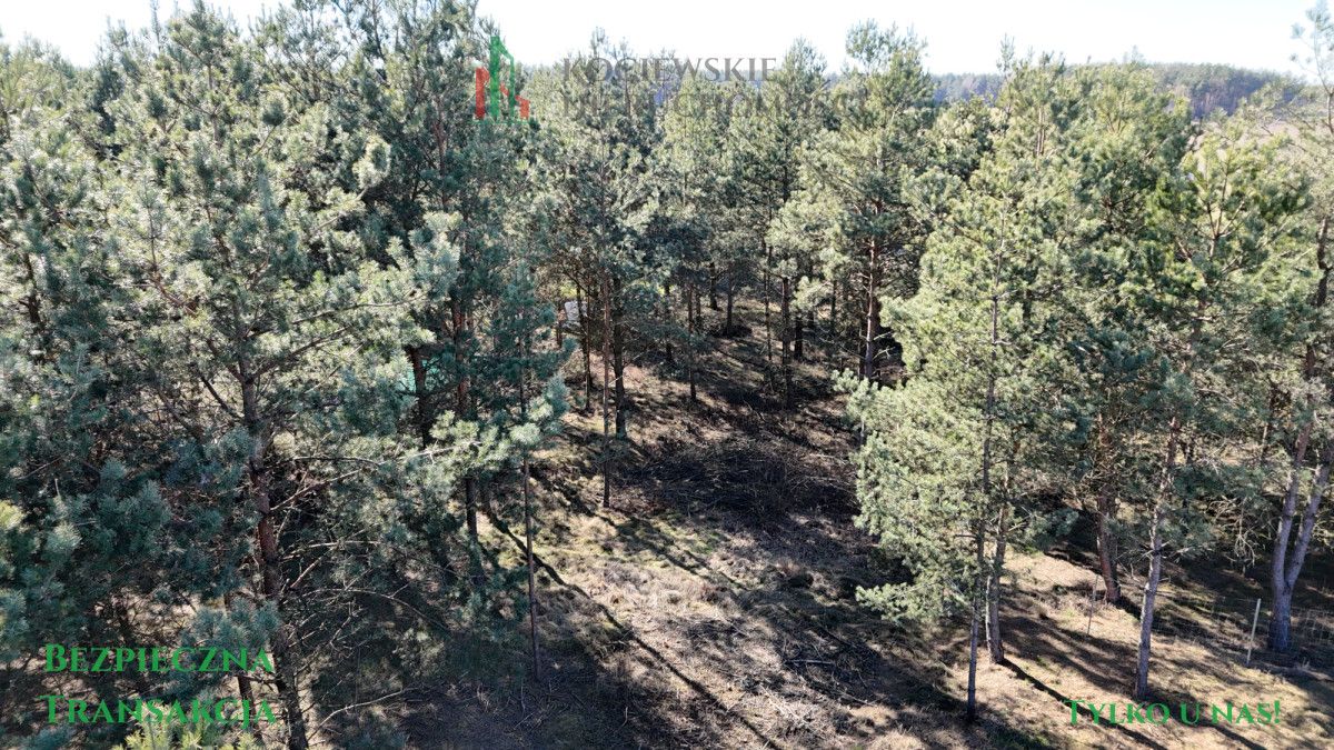 Działka budowlana Stara Kiszewa. Zdjęcie 6