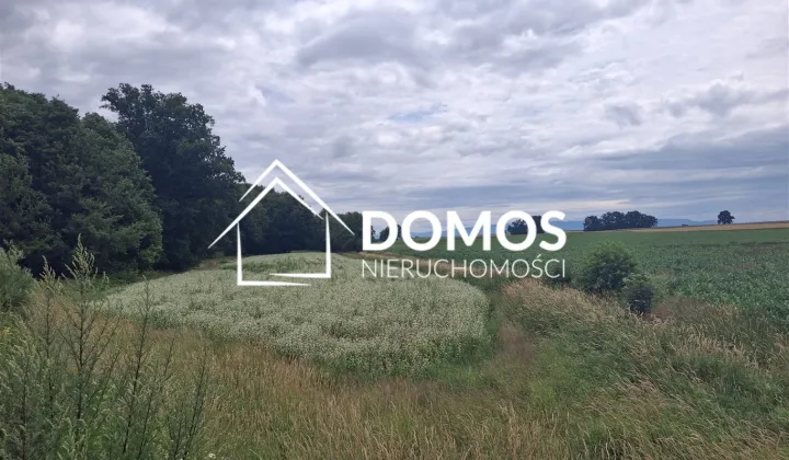 Działka rolna Ćwiklice, ul. Męczenników Oświęcimskich