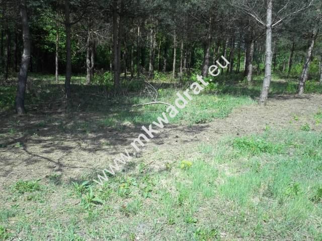 Działka budowlana Stara Wieś. Zdjęcie 4