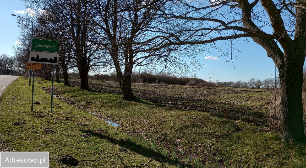 Działka budowlana Lwówek, ul. Pniewska. Zdjęcie 3