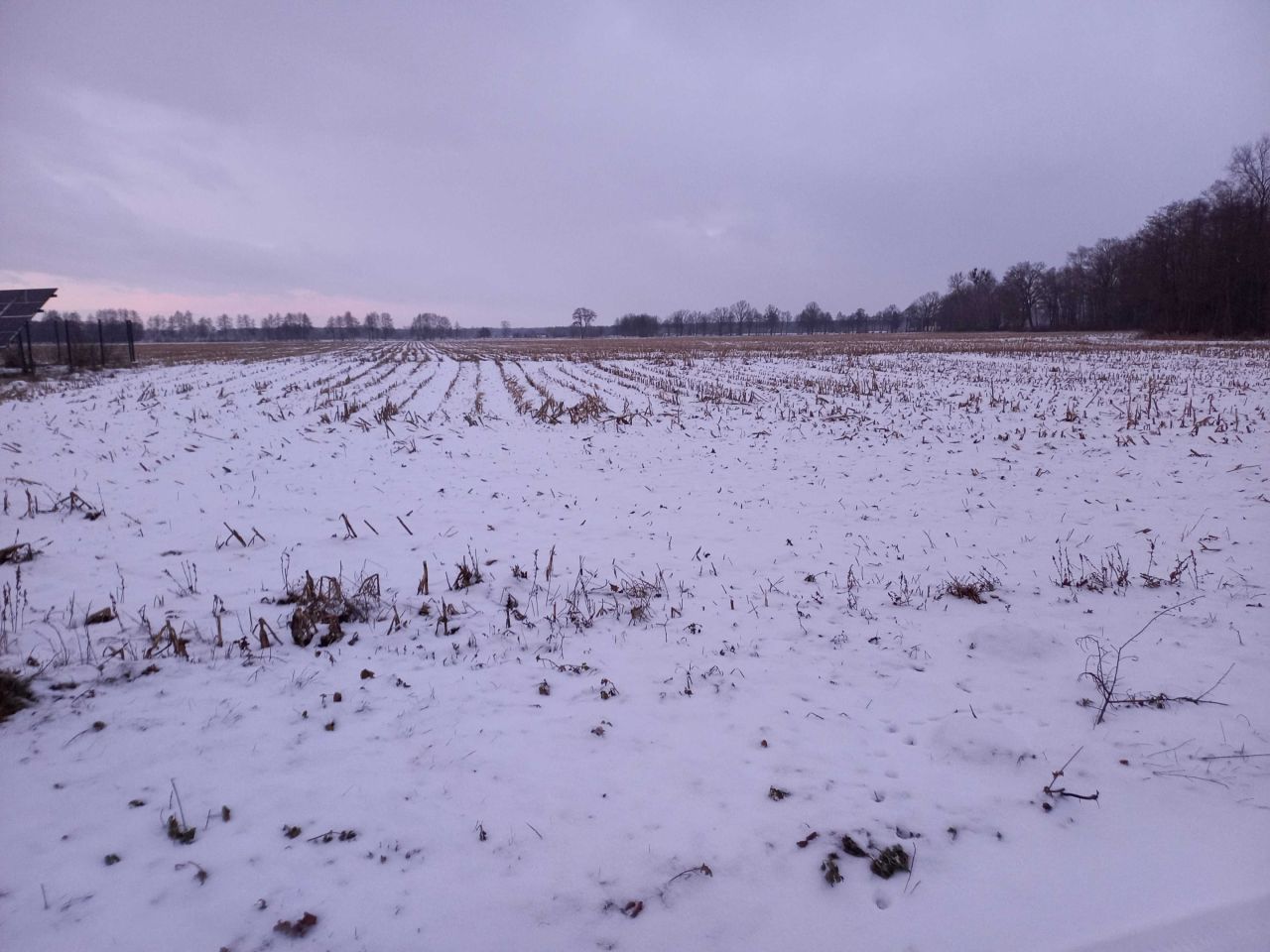 Działka budowlana Jaszczółtowo. Zdjęcie 1