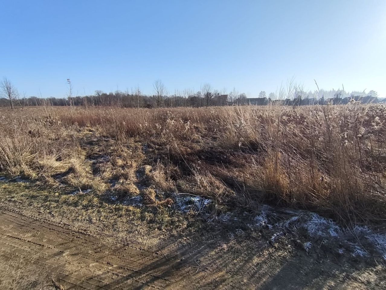 Działka rolna Karczyce. Zdjęcie 6