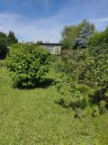Działka rod Dąbrowa Górnicza. Zdjęcie 4