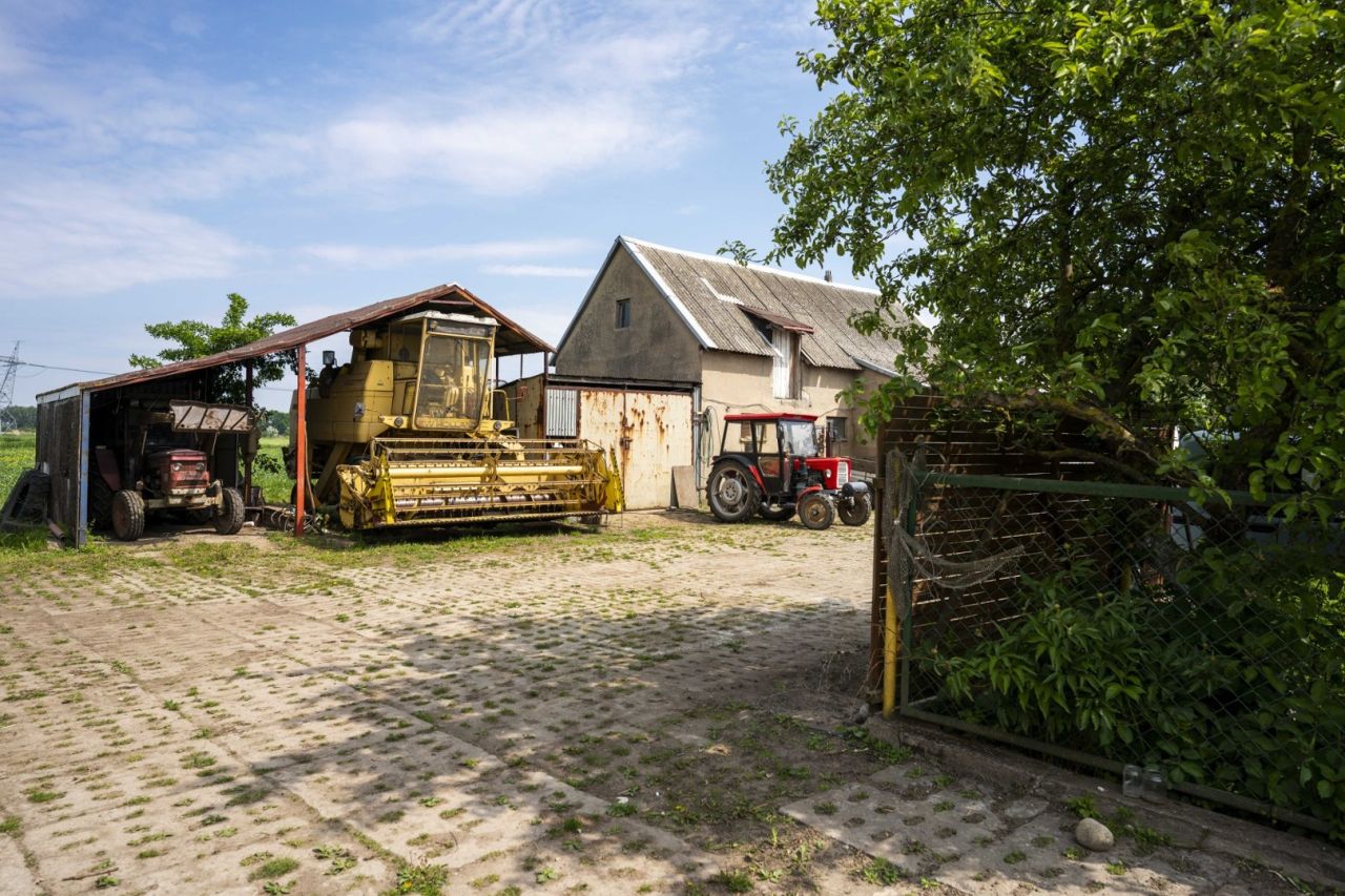 gospodarstwo, 5 pokoi Trzcinisko. Zdjęcie 21