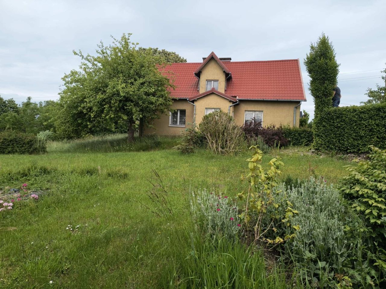 Działka siedliskowa Warzno, ul. Na Skarpie