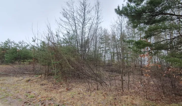 Działka rolna Purda