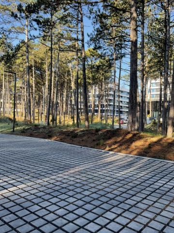 Mieszkanie 2-pokojowe Rogowo. Zdjęcie 14