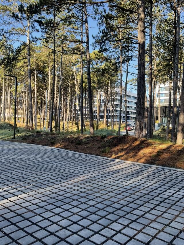 Mieszkanie 2-pokojowe Rogowo. Zdjęcie 14