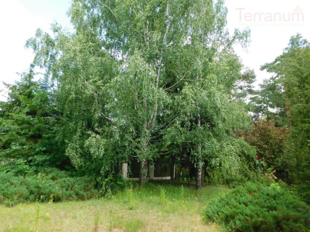 dom wolnostojący, 5 pokoi Jachranka. Zdjęcie 25