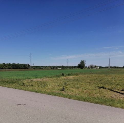 Działka rolno-budowlana Bartodzieje. Zdjęcie 1