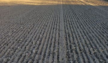 Działka budowlana Kostry