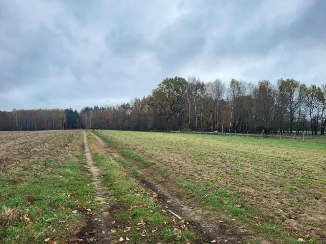 Działka rekreacyjna Wola Młocka. Zdjęcie 9