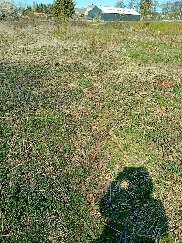 Działka budowlana Jedwabne. Zdjęcie 11