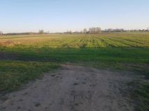 Działka budowlana Mochnate. Zdjęcie 4