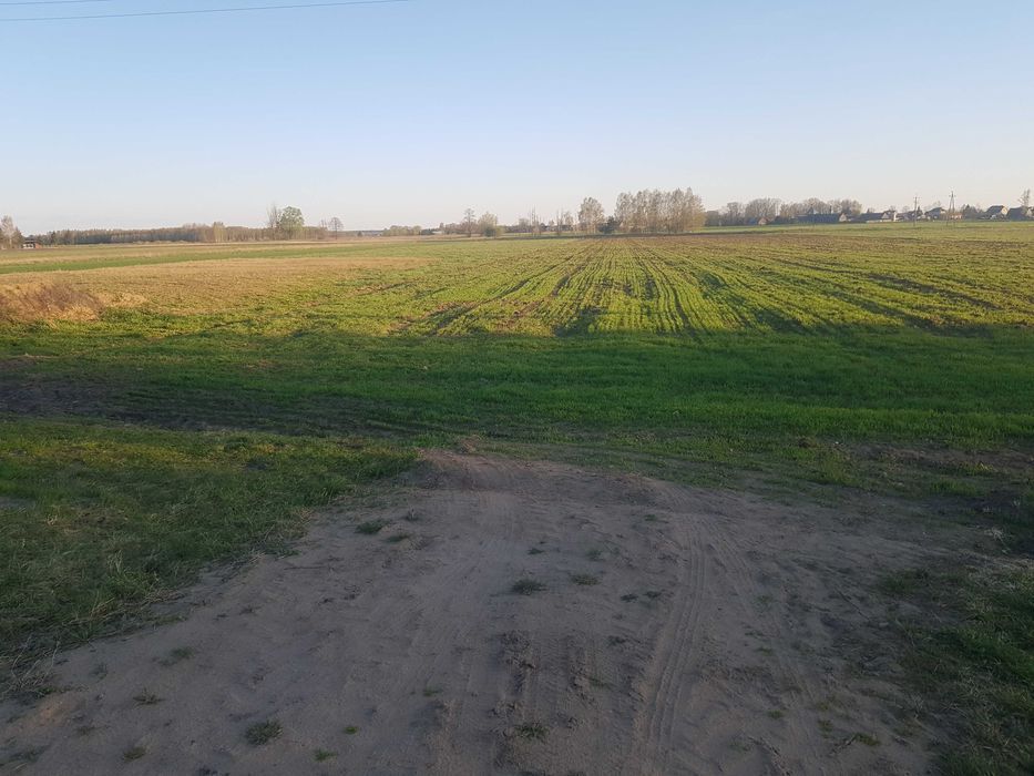 Działka budowlana Mochnate. Zdjęcie 5